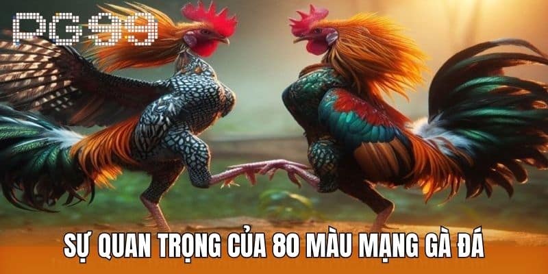 Sự Quan Trọng Của 80 Màu Mạng Gà Đá