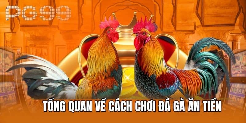 Tổng Quan Về Cách Chơi Đá Gà Ăn Tiền