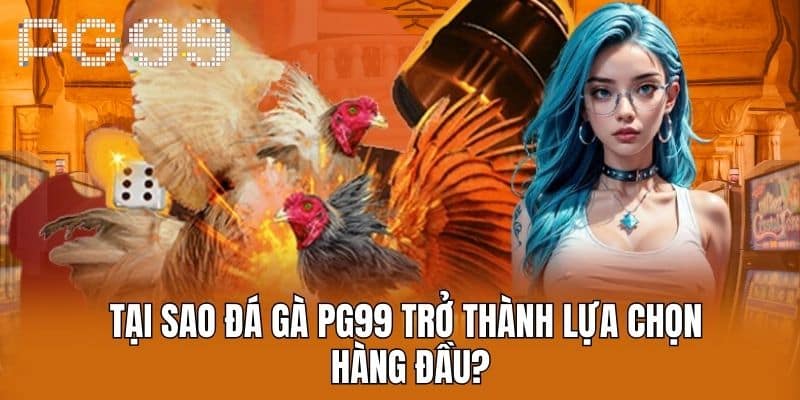 Tại Sao Đá Gà PG99 Trở Thành Lựa Chọn Hàng Đầu?