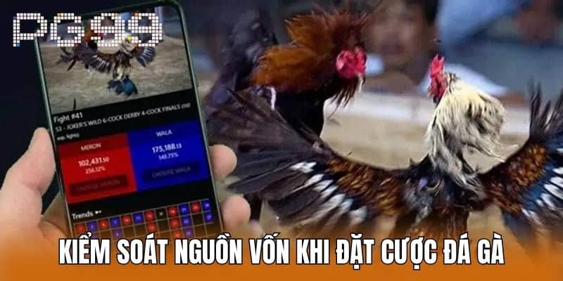 Kiểm Soát Nguồn Vốn Khi Đặt Cược Đá Gà