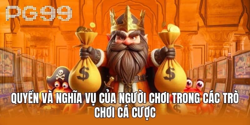 Quyền Và Nghĩa Vụ Của Người Chơi Trong Các Trò Chơi Cá Cược